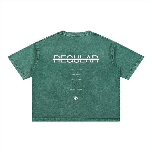 Not Regular Mineral Wash (WHITE LOGO)
